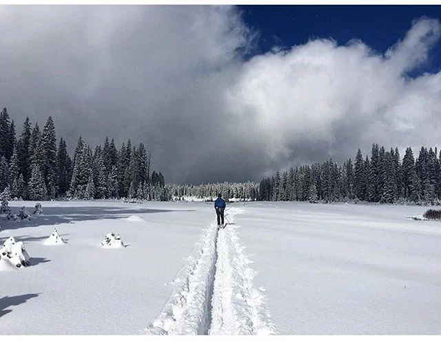 Can we come? Photo by @beeeaach #themontanacamp #montanaisforbadasses