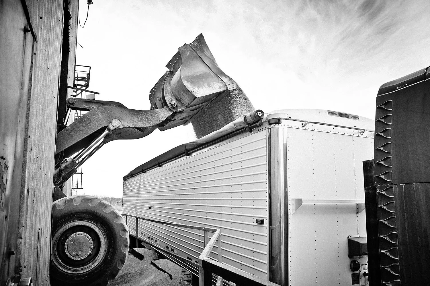 032-Origination_Rosemount-005_JohnMagnoskiPhotography - JMP_6187_B+W.jpg