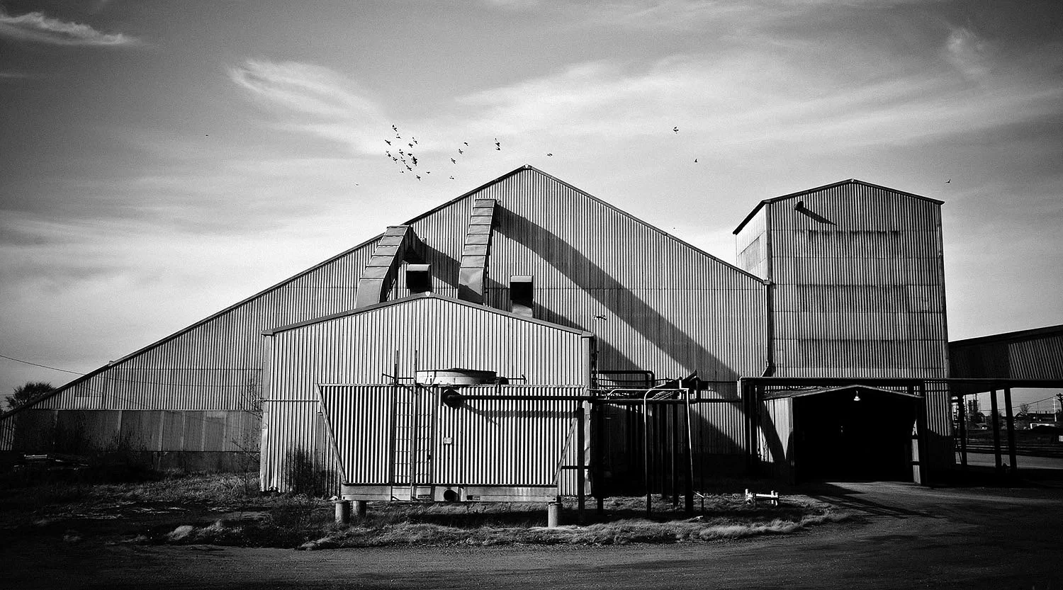 037-Origination_Rosemount-020_JohnMagnoskiPhotography - JMP_6333_B+W.jpg