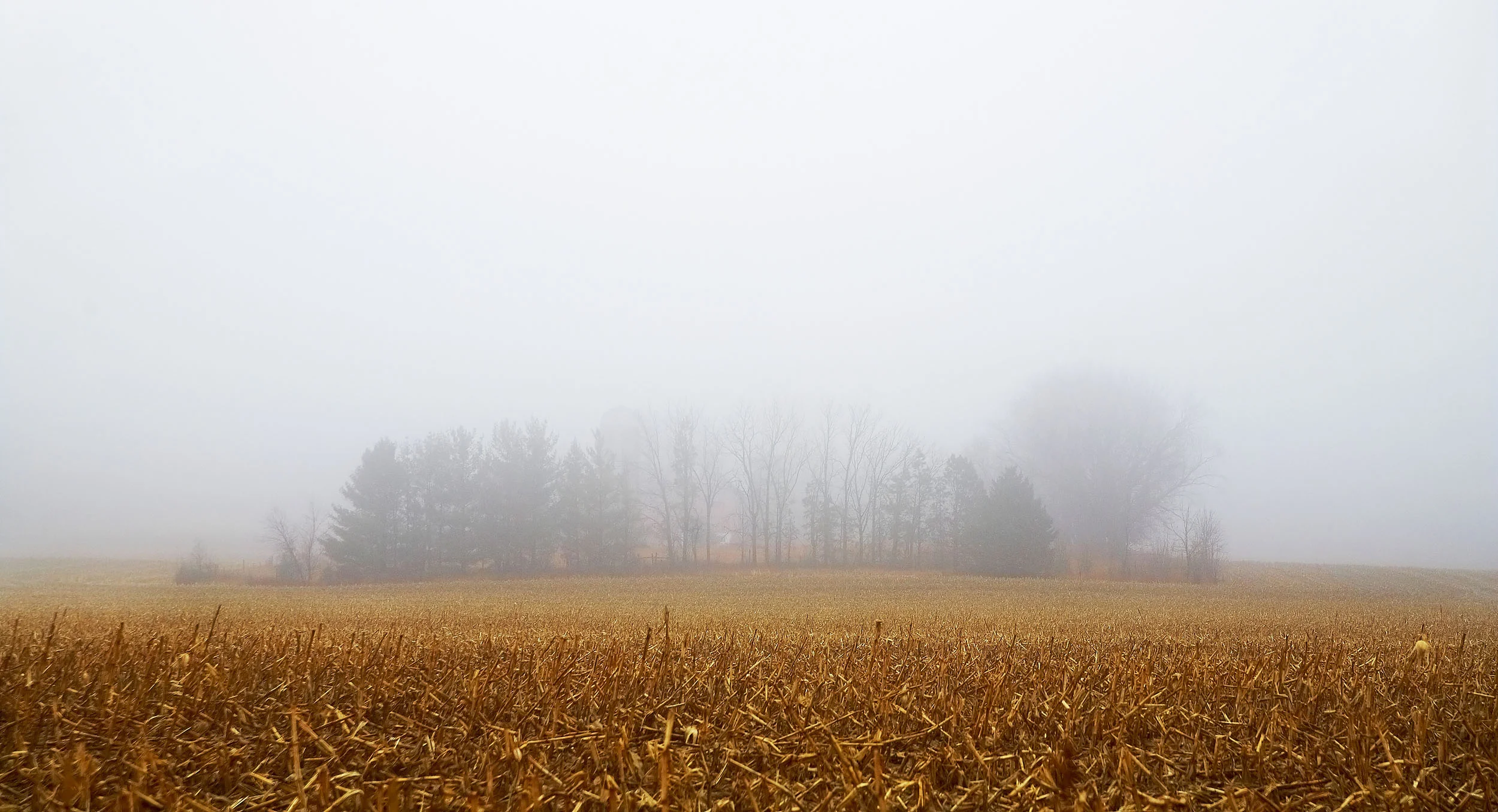 Farm in Fog