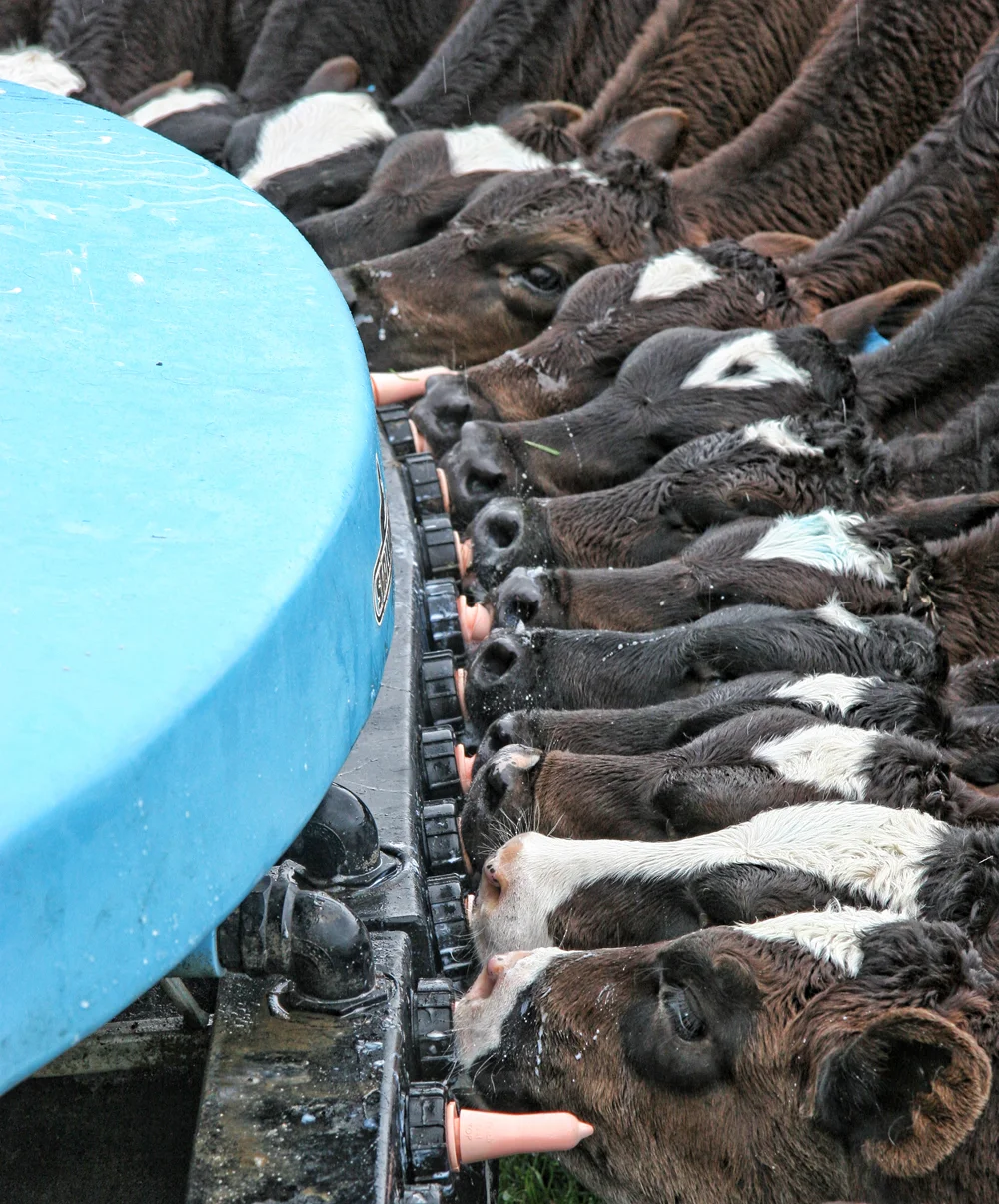 IMG_3788 feeder.jpg