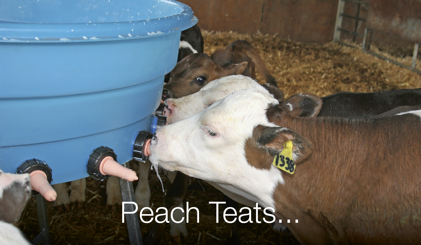 Peach Teats slideshowA.pdf-2.jpg