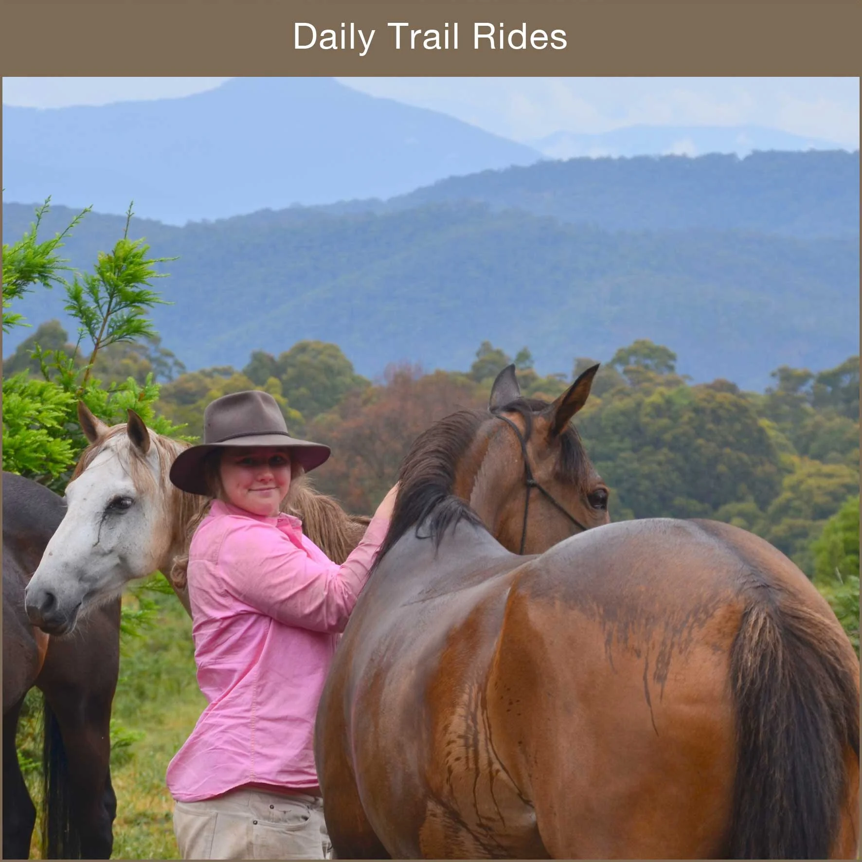 Our valley view rides are the perfect way to enjoy the outdoors.