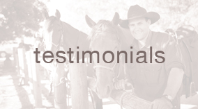testimonialstile.jpg