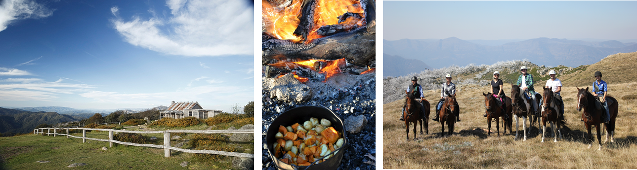 Craig's Hut and High Country.png