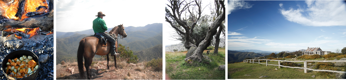 high country and king billy.png