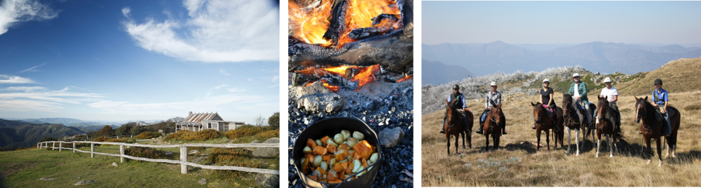 Craig's+Hut+and+High+Country.png