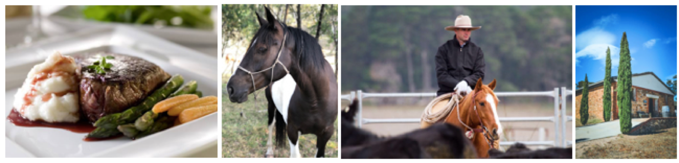 horsemanship ride.png