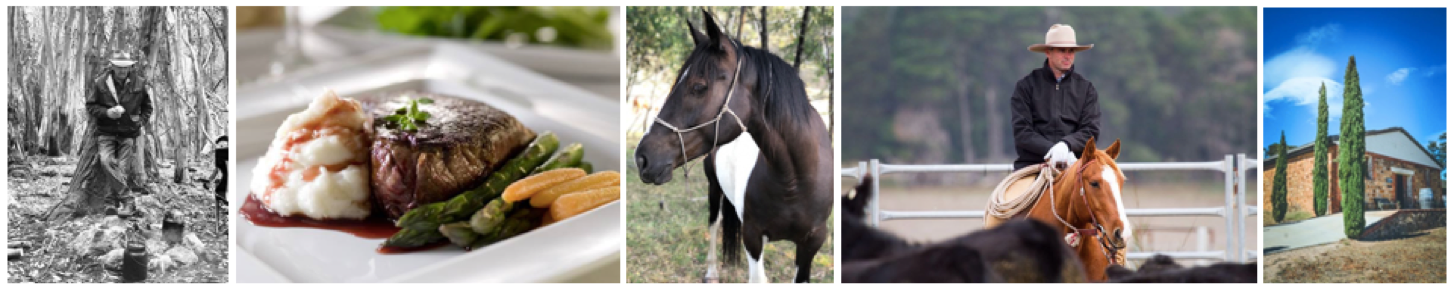 Swampy's backyard.png