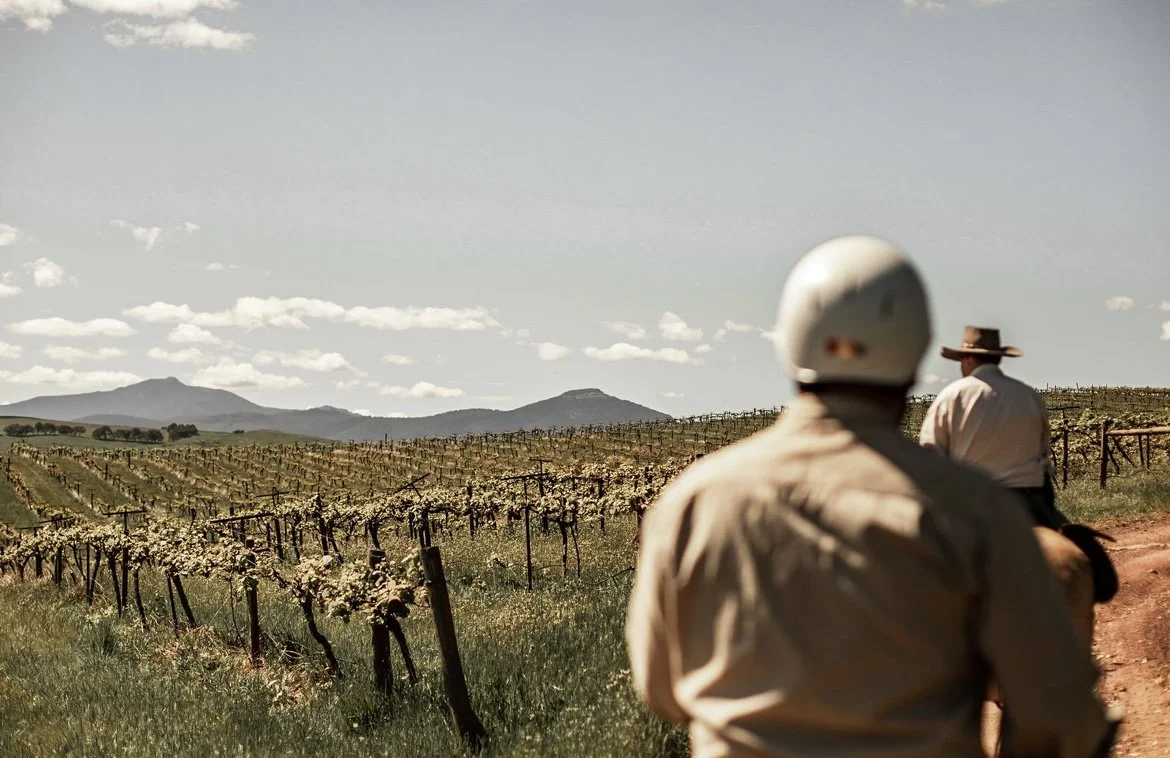 Ride~Dine~Wine - Fully Booked!