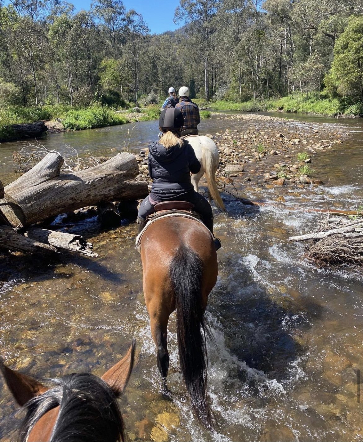 river crossing.jpeg