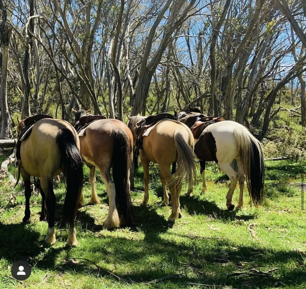 Full day Craig's Hut and Mt Stirling ride - Fully booked