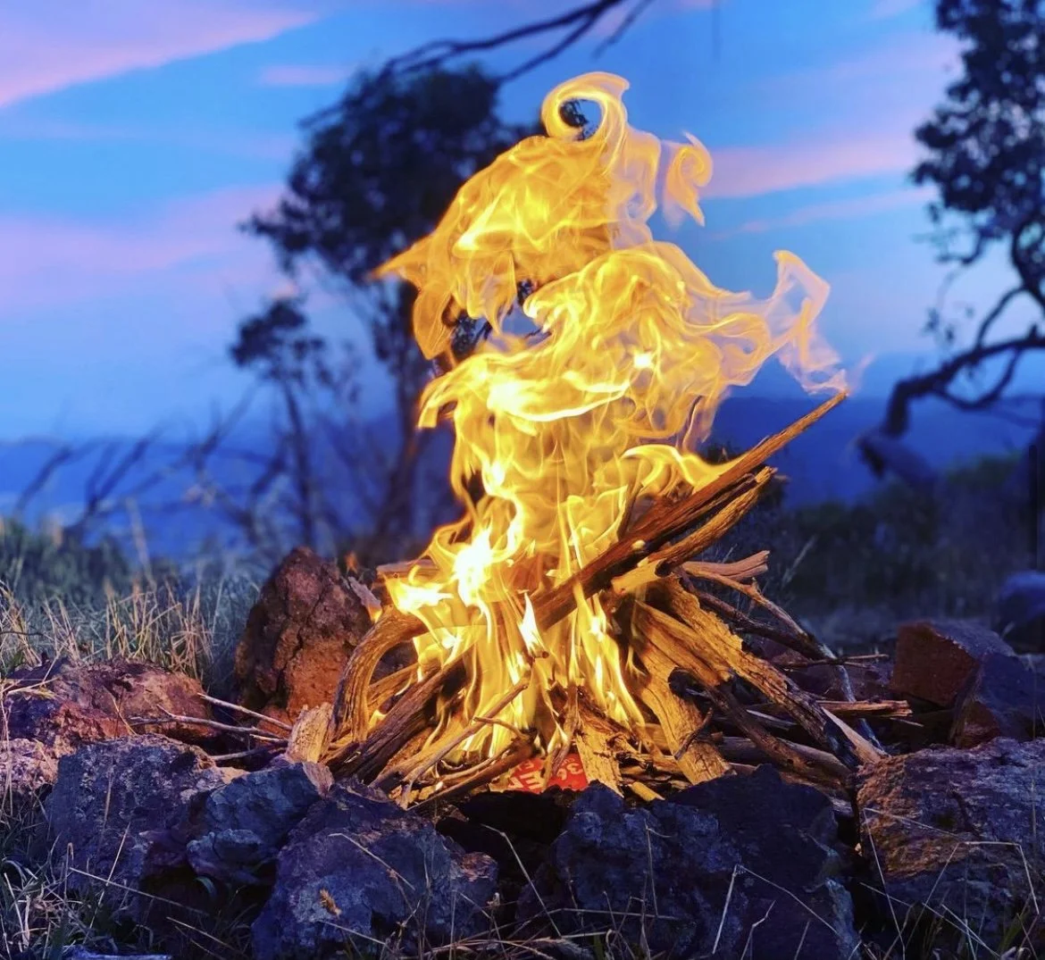 2 day 1 night Craig's Hut and High country trek- fully booked pending