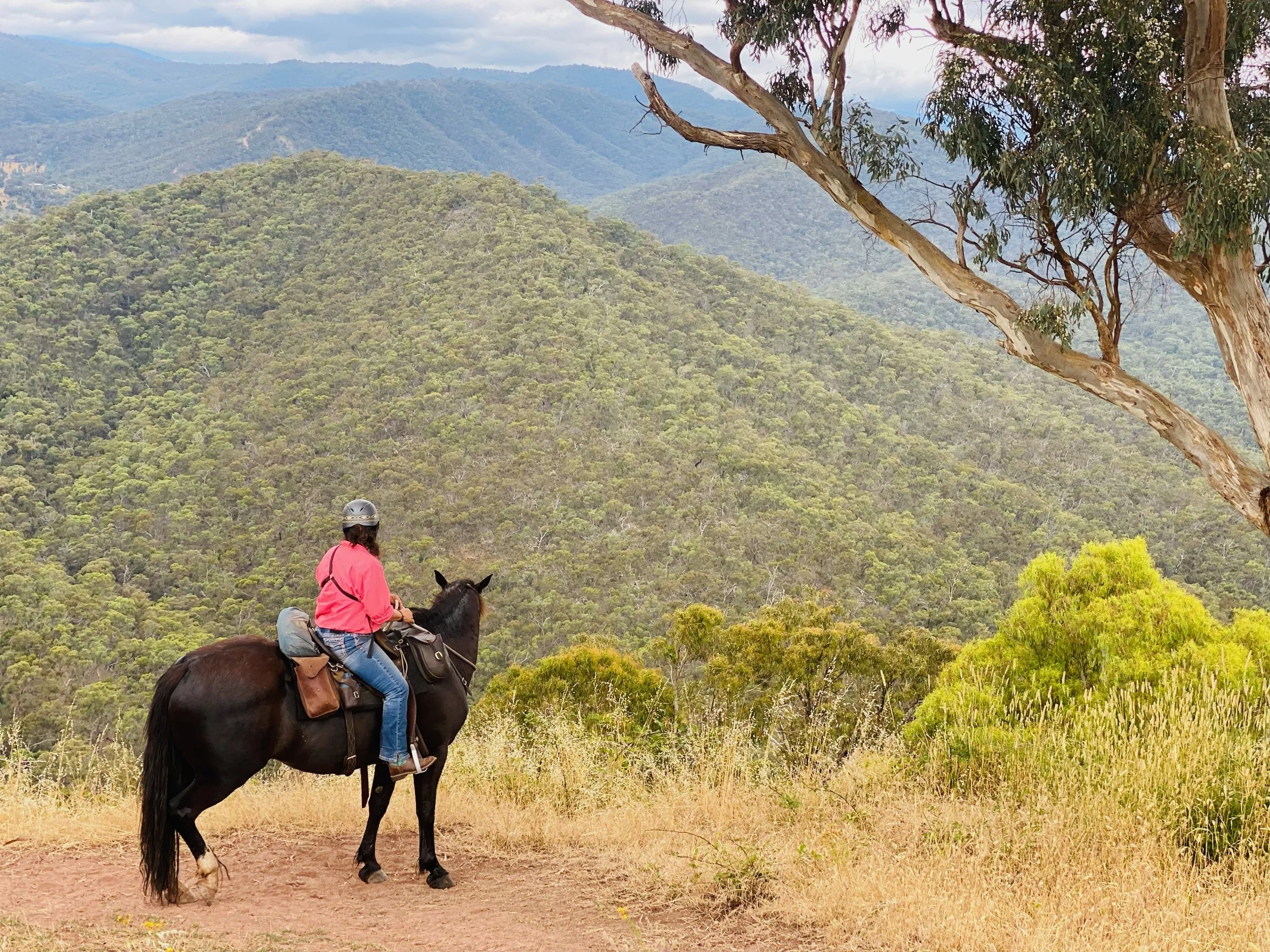 3 Day 3 night Howqua River ride- 2 saddles available