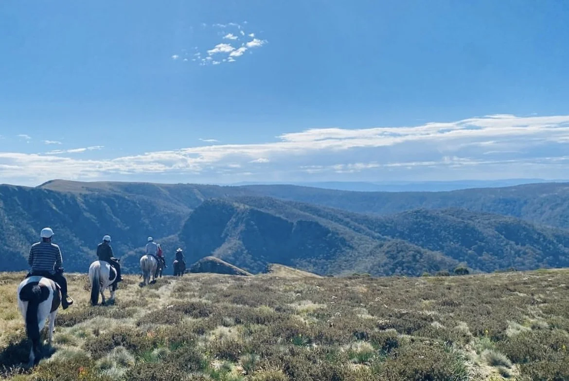 6 day Craig's Hut and backcountry trek- 1 saddle available