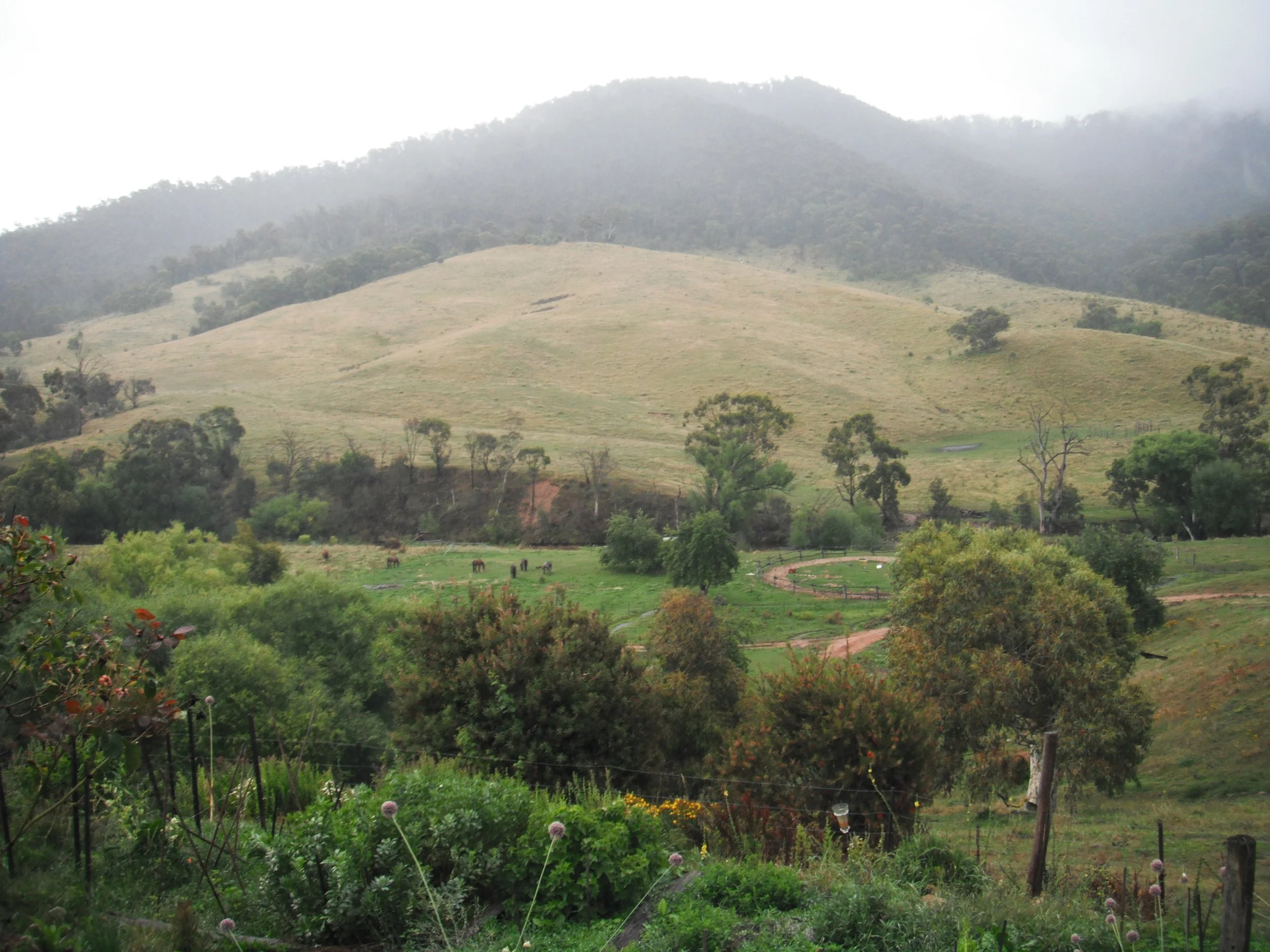 Bogong High Plains and the remote Cobungra River ride- FULLY BOOKED