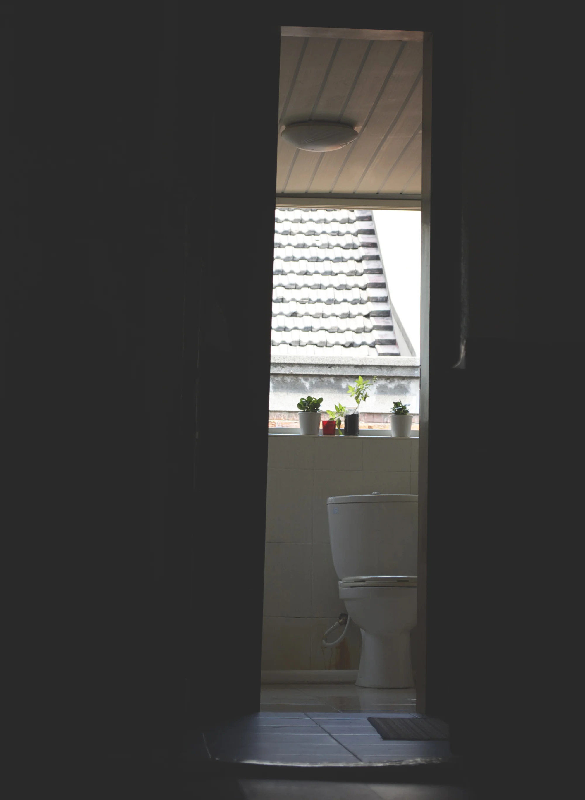 Bathroom view. Photo by Francesca Galluzzo.