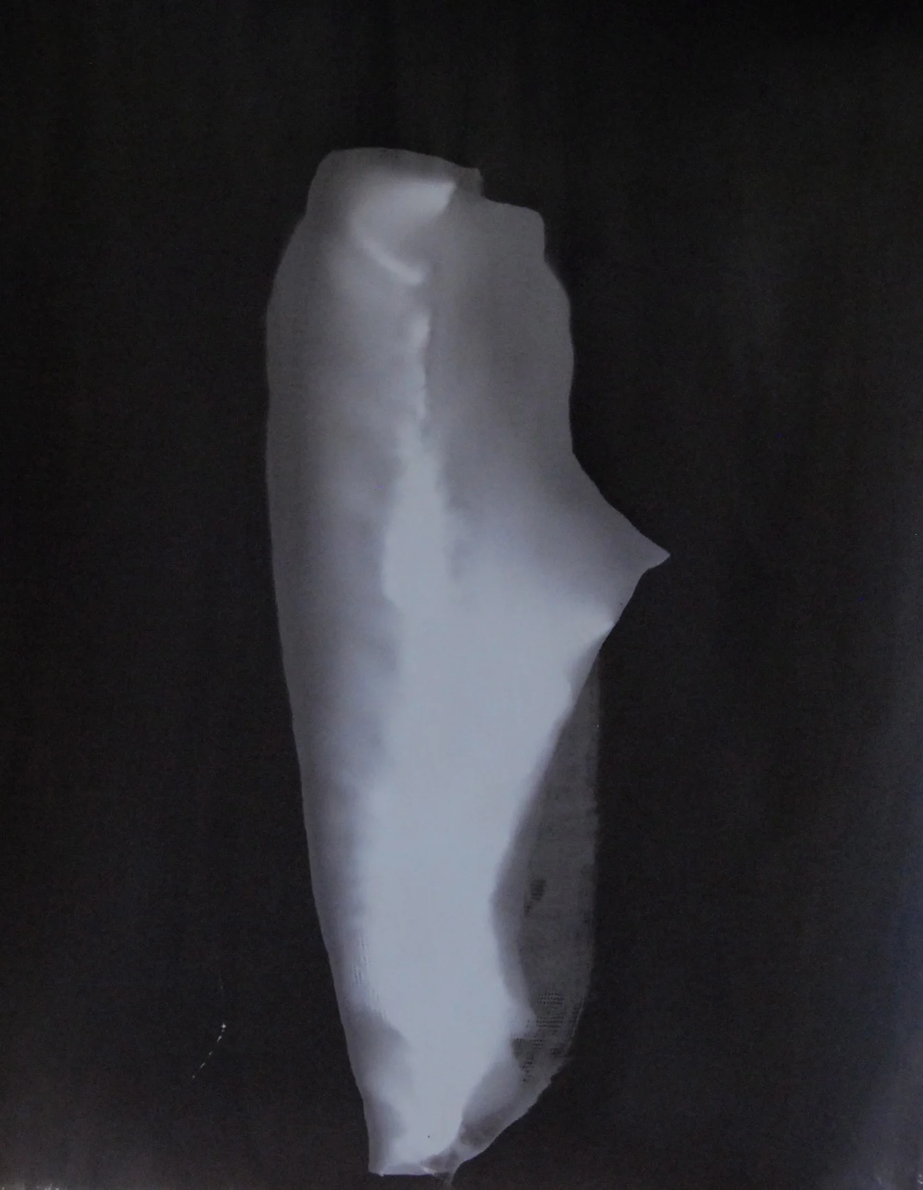   Untitled   20" x 16", silver gelatin print  2012 