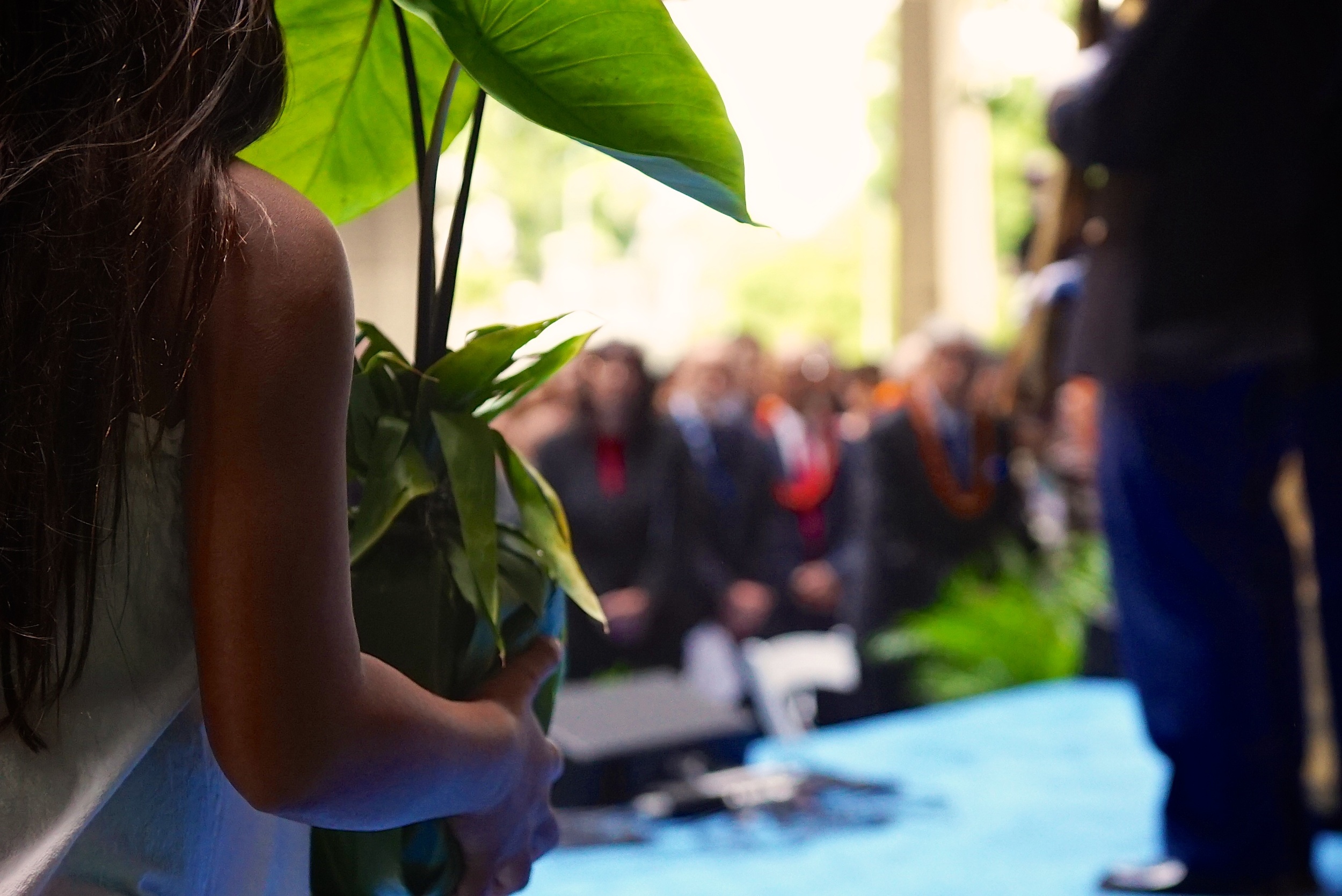 KuliaLLC.2014.Inauguration11.jpg