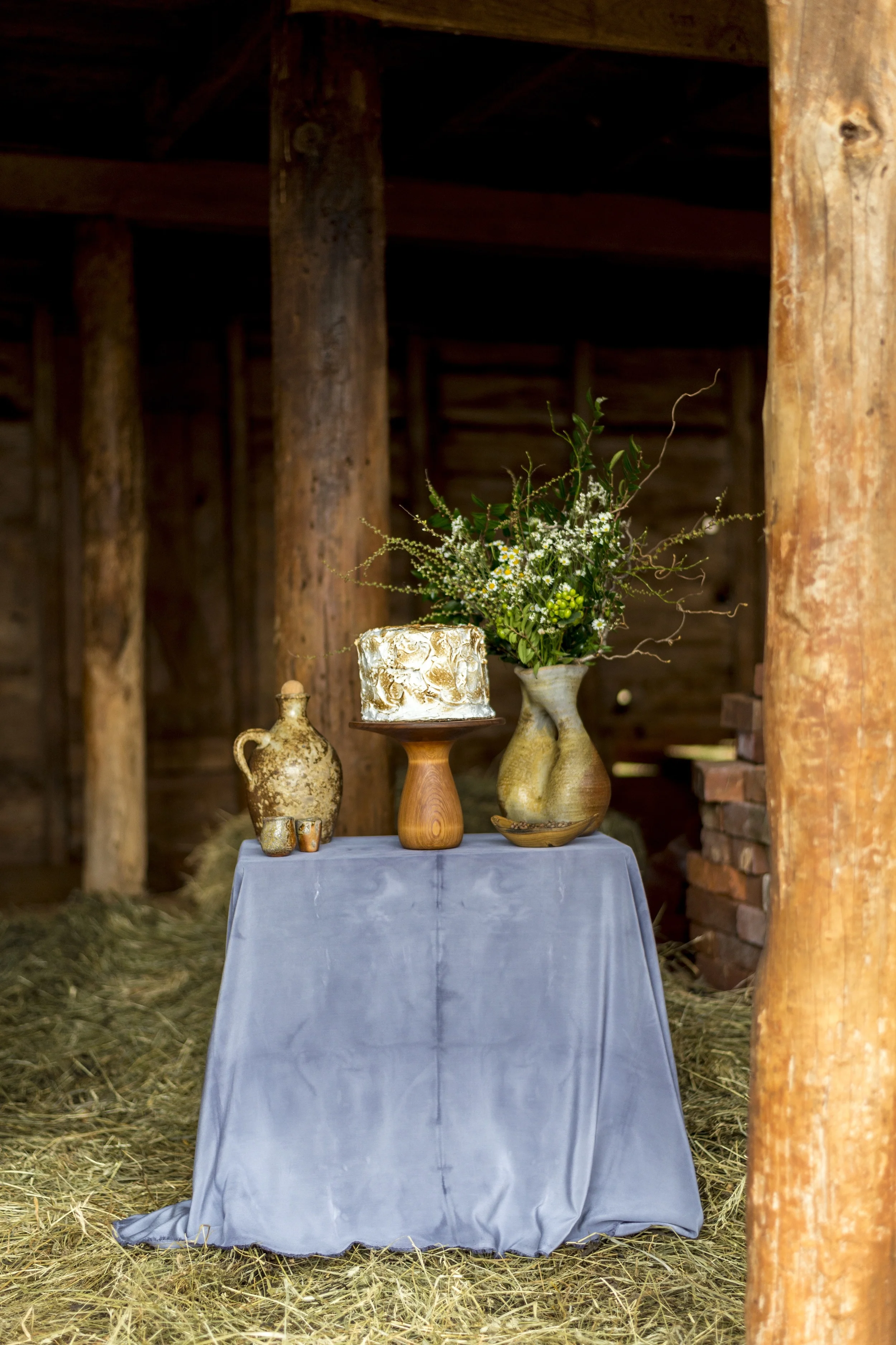Meredith Coe Photography