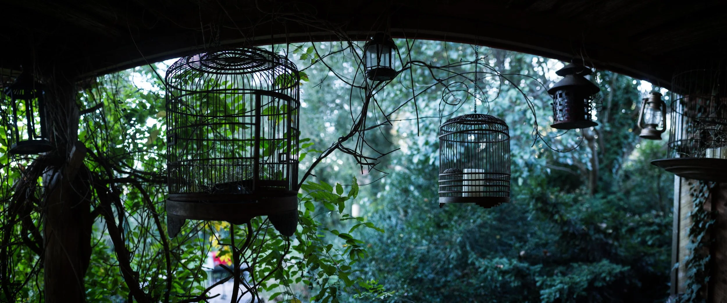  Photography Aaron Farrington 