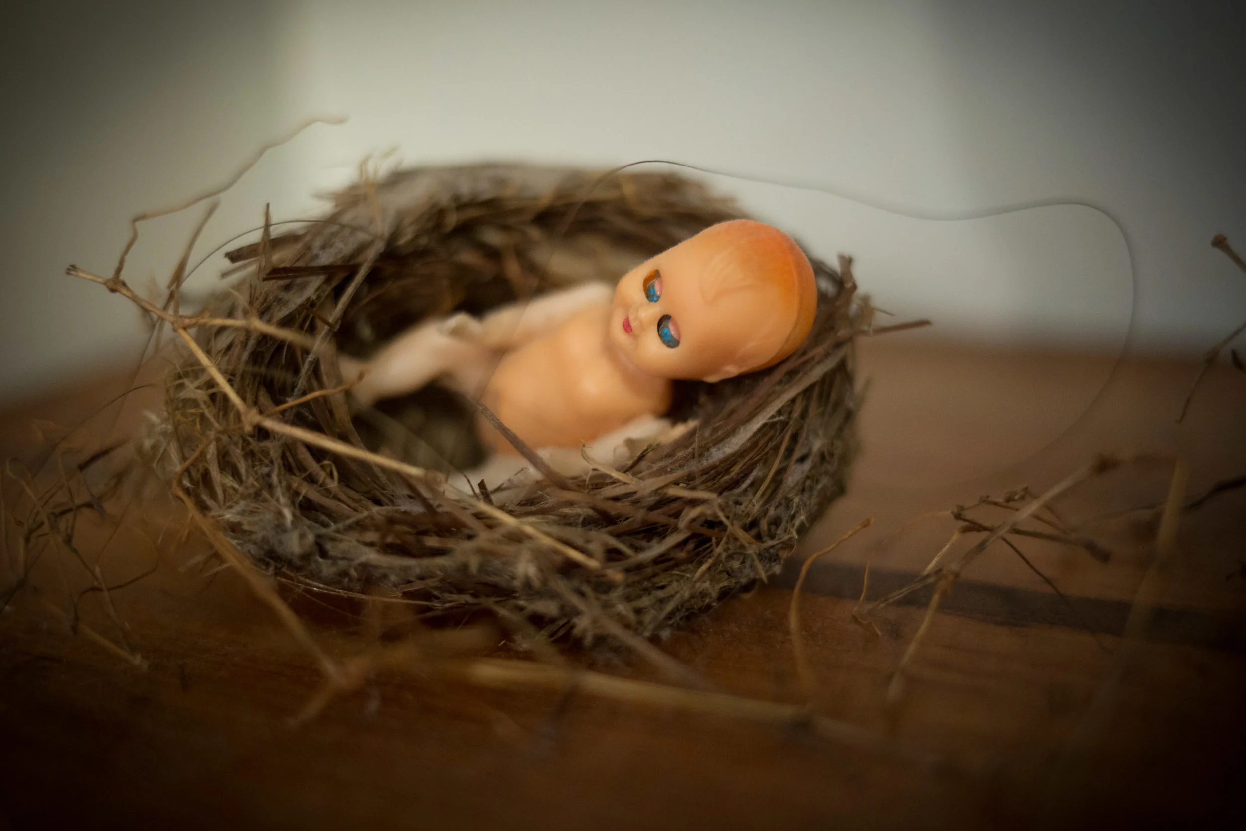  Photography Aaron Farrington 