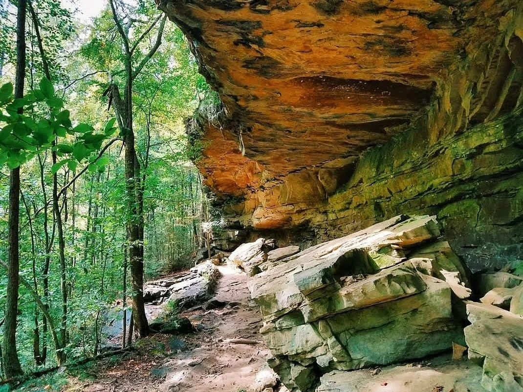 The roof, facing back toward the trailhead.