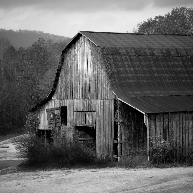 hampton_cove_barn_burned.jpg