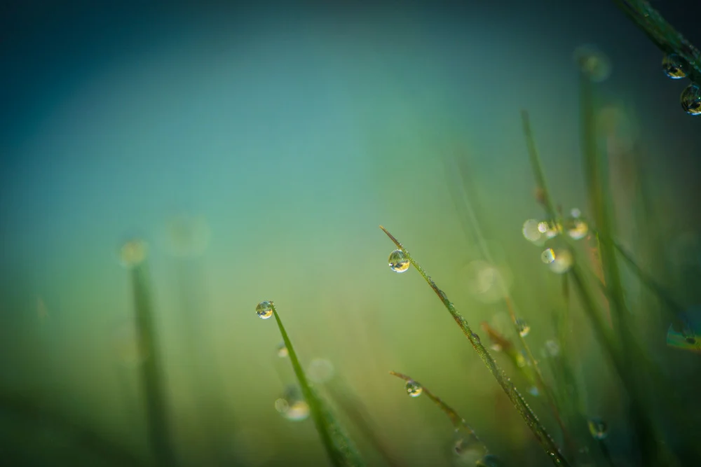 08_OD20921a.jpg