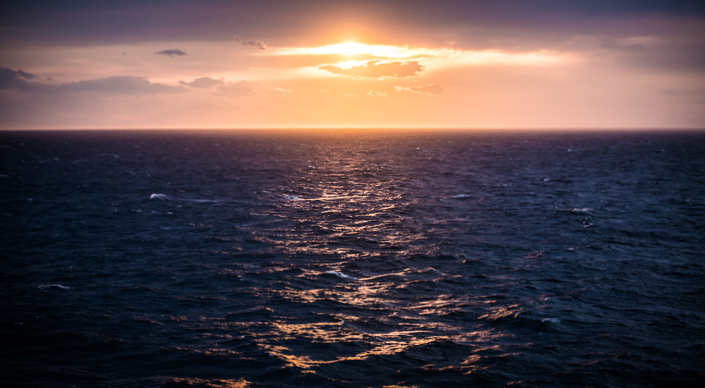 Joe Michael_tasman seascape.jpg