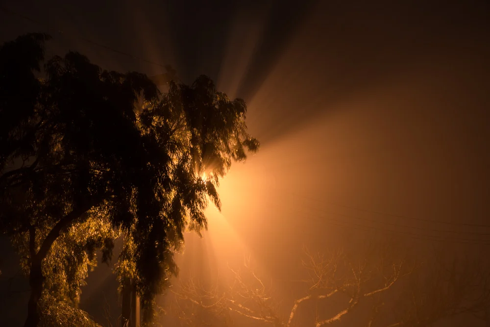06_FOG0108.jpg