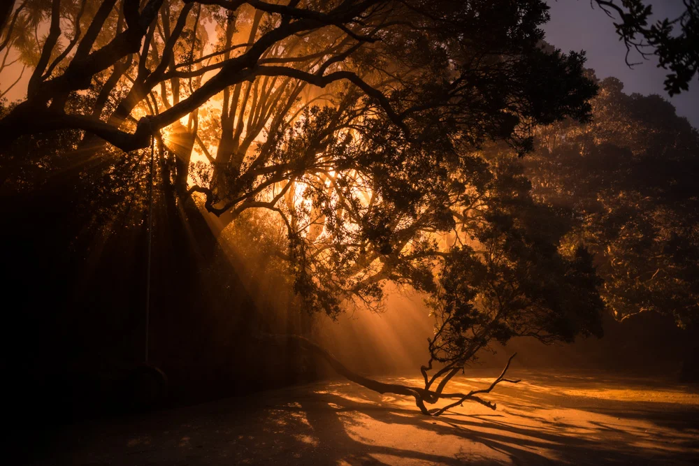 Joseph Michael 03_FOG0121.jpg