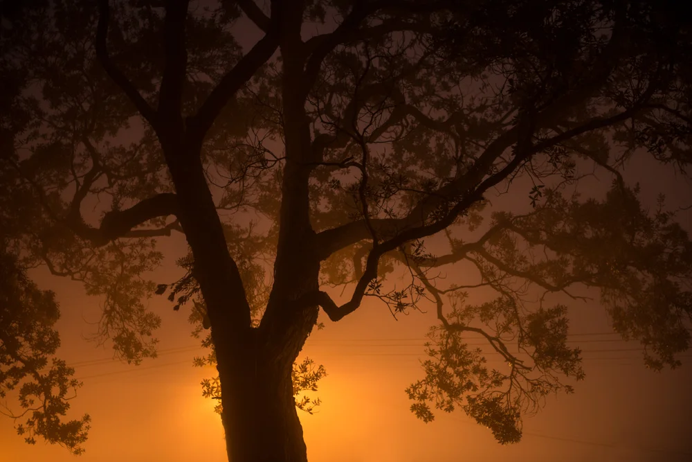 Joseph Michael 10_FOG0189-Edit.jpg
