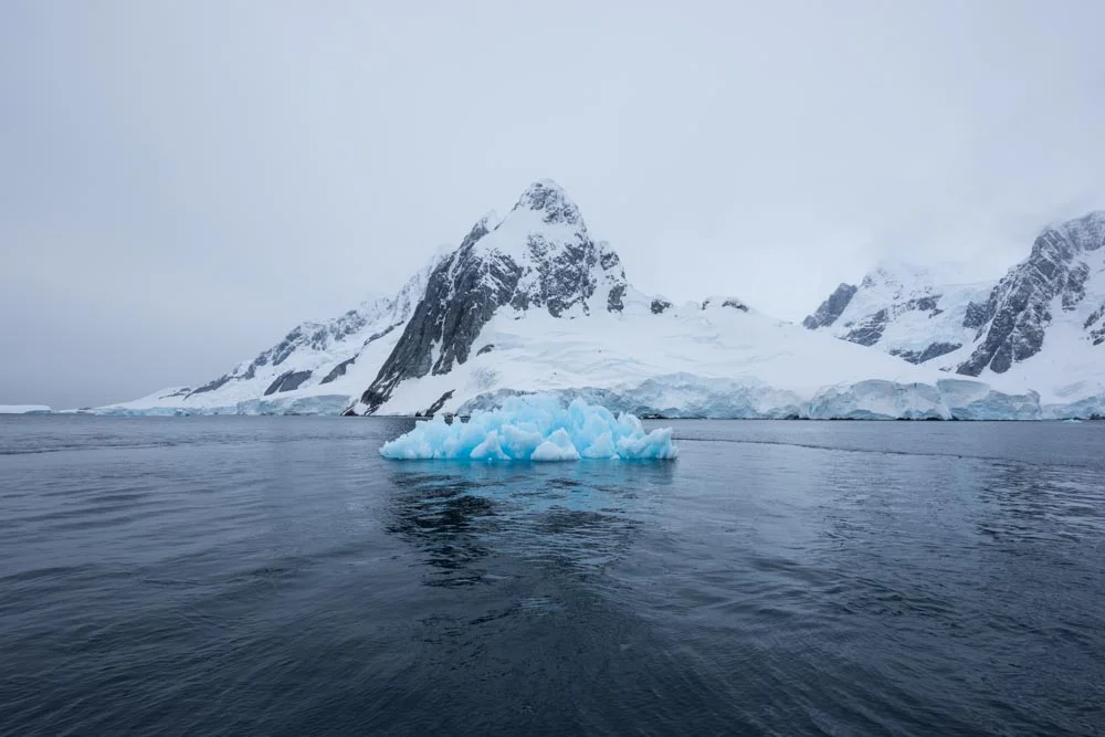 Joseph Michael Antarctica _yoko.jpg