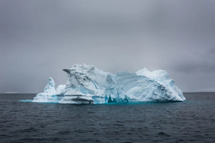 Joseph+Michael+Antarctica+Magnus.jpg