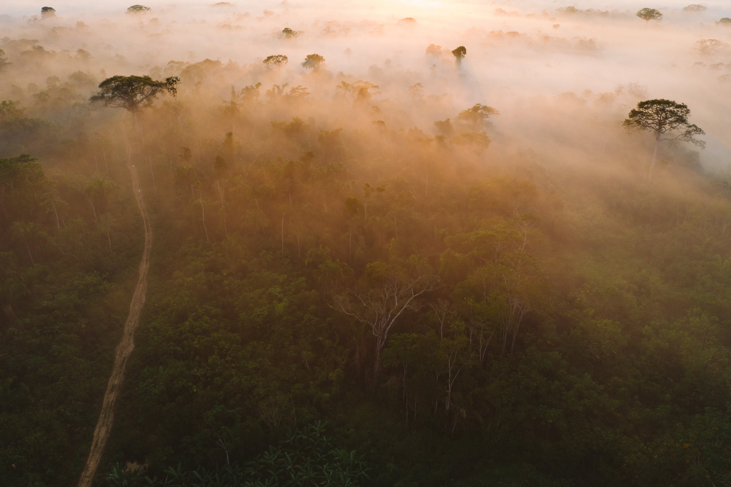 Marechal_09_07_DJI_0391.jpg