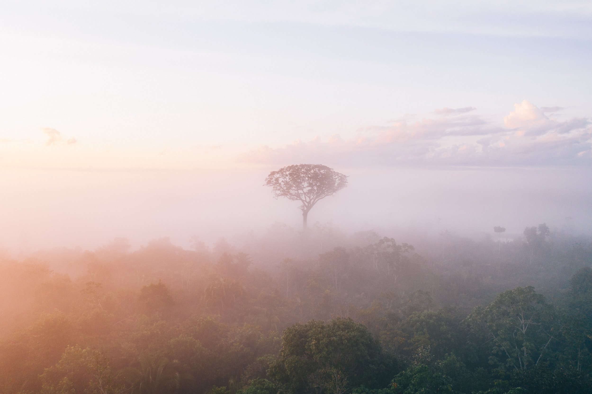 Marechal_09_07_DJI_0385-Edit.jpg