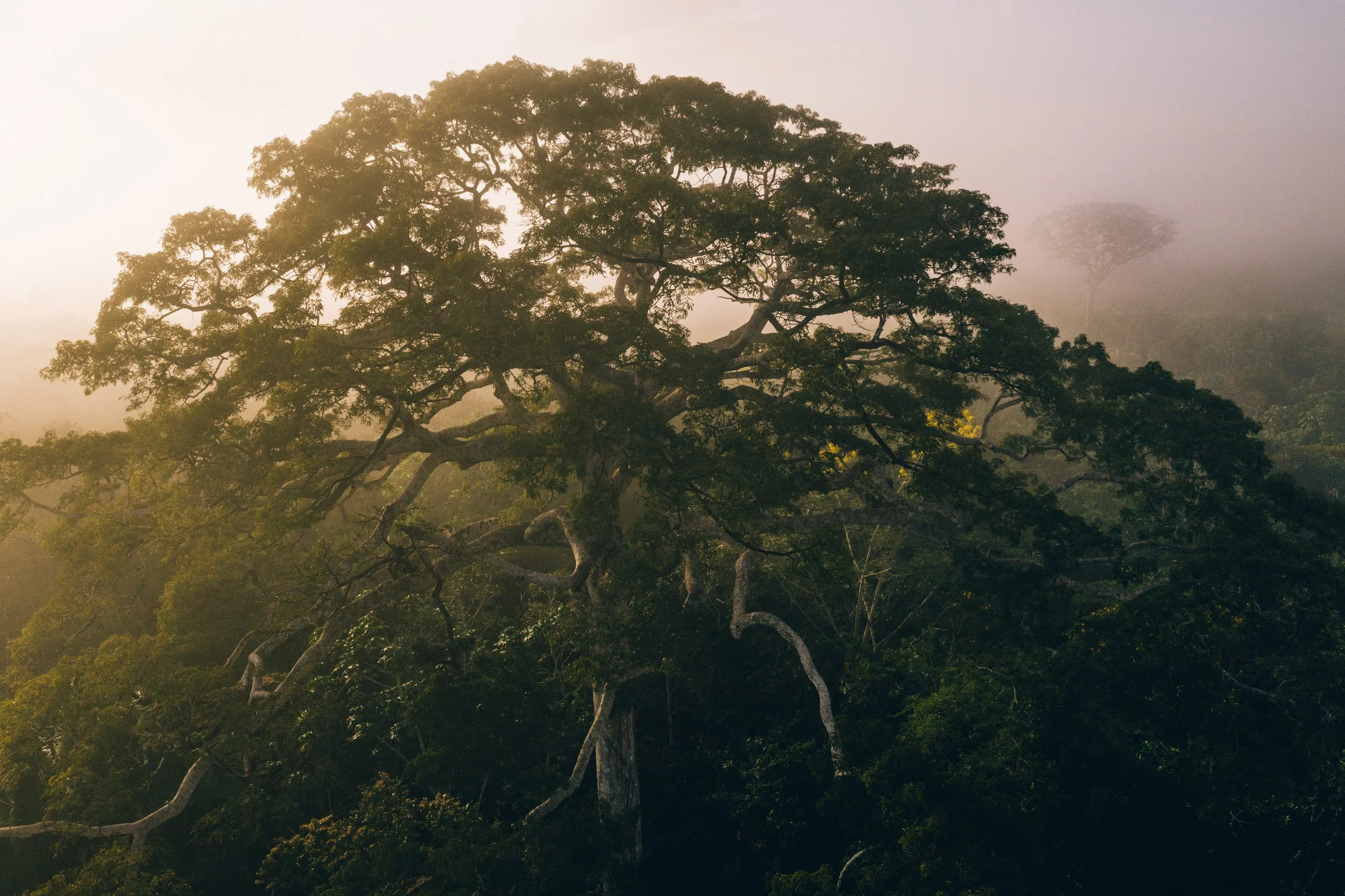 Marechal_09_07_DJI_0443.jpg