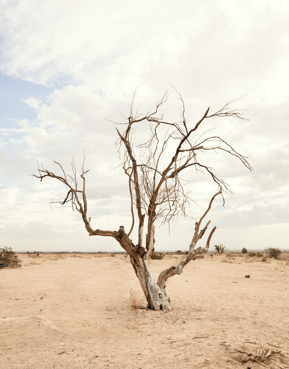 Mouna Salton Sea4.jpeg