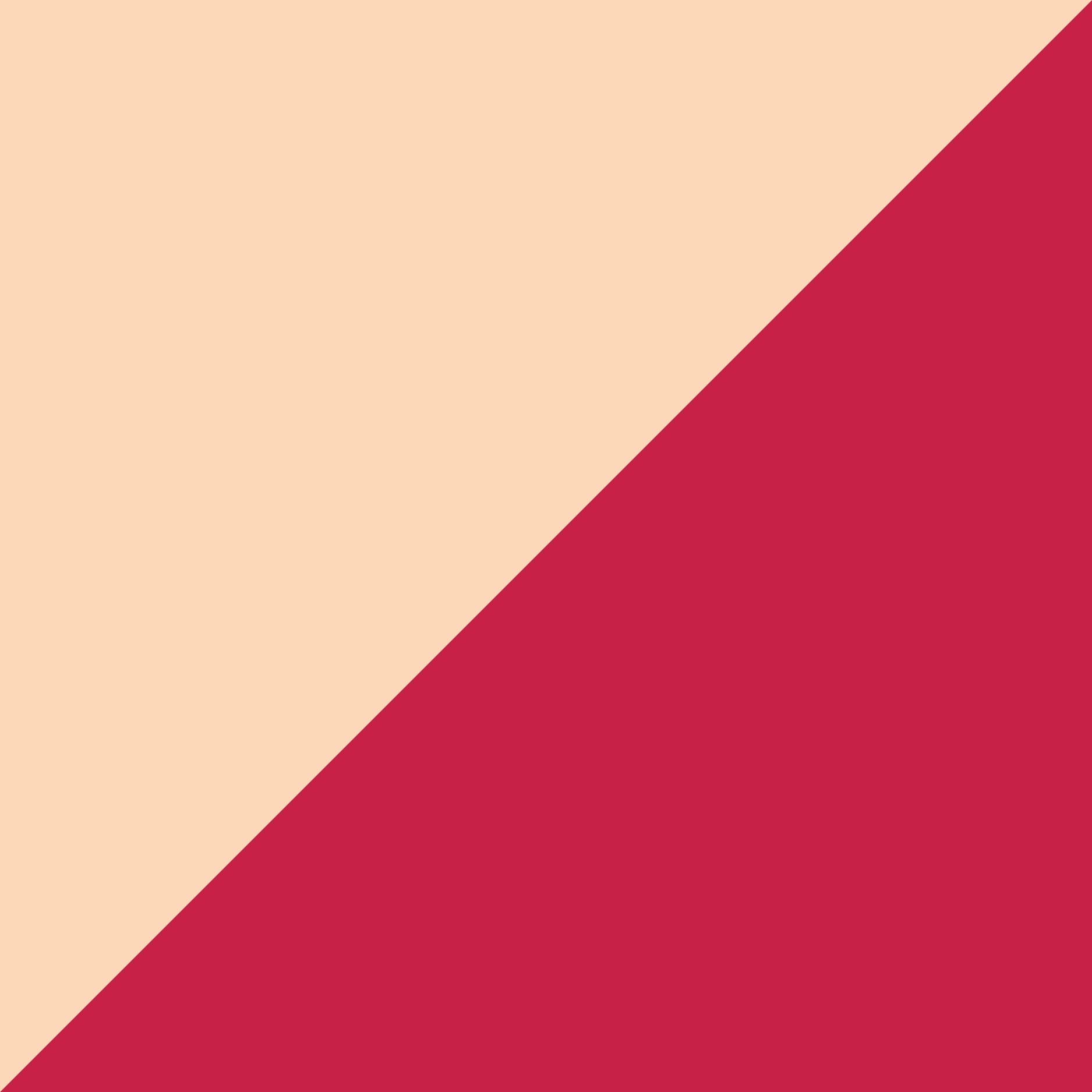 ParkGorkogo_Ice-cream_Format-28.png