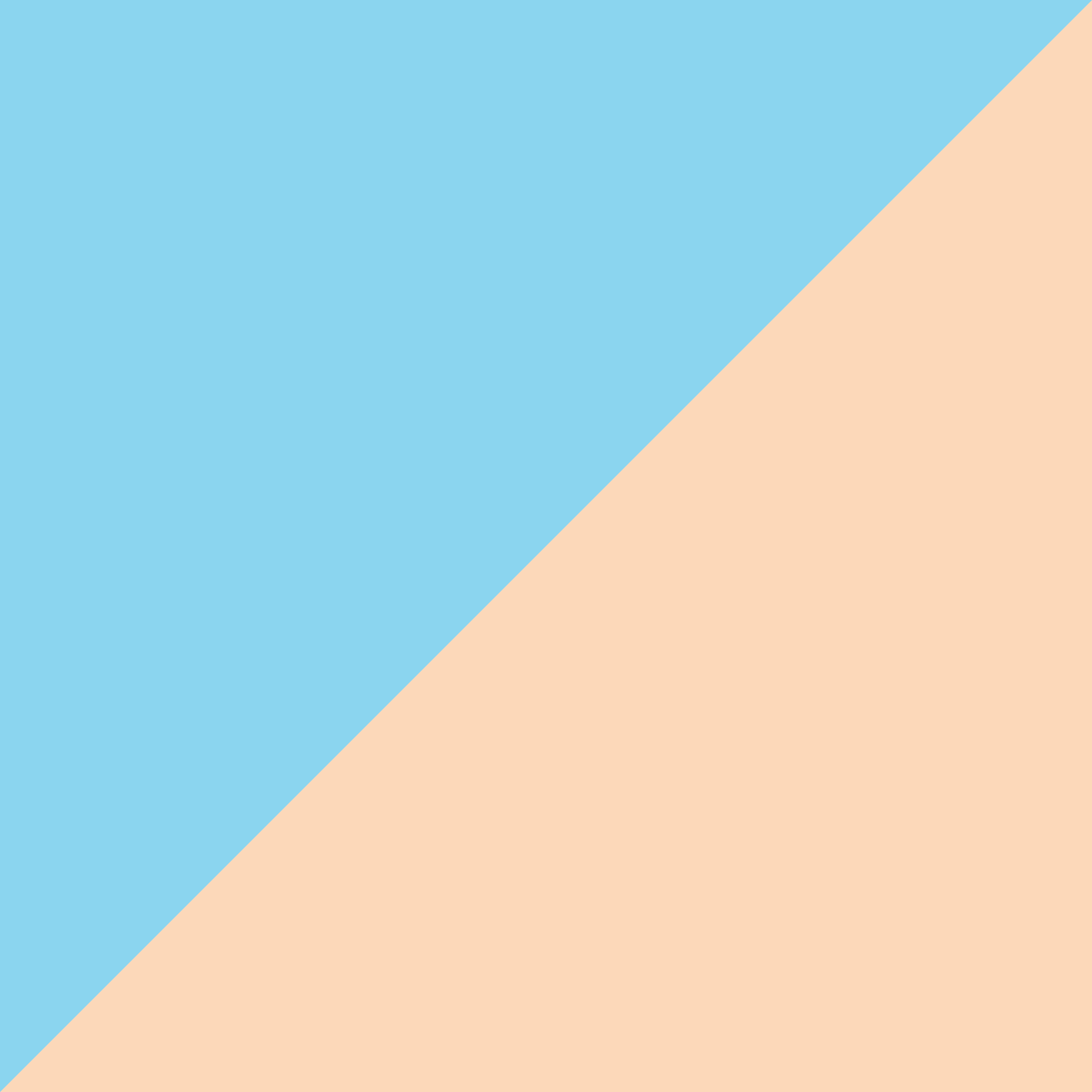 ParkGorkogo_Ice-cream_Format-26.png