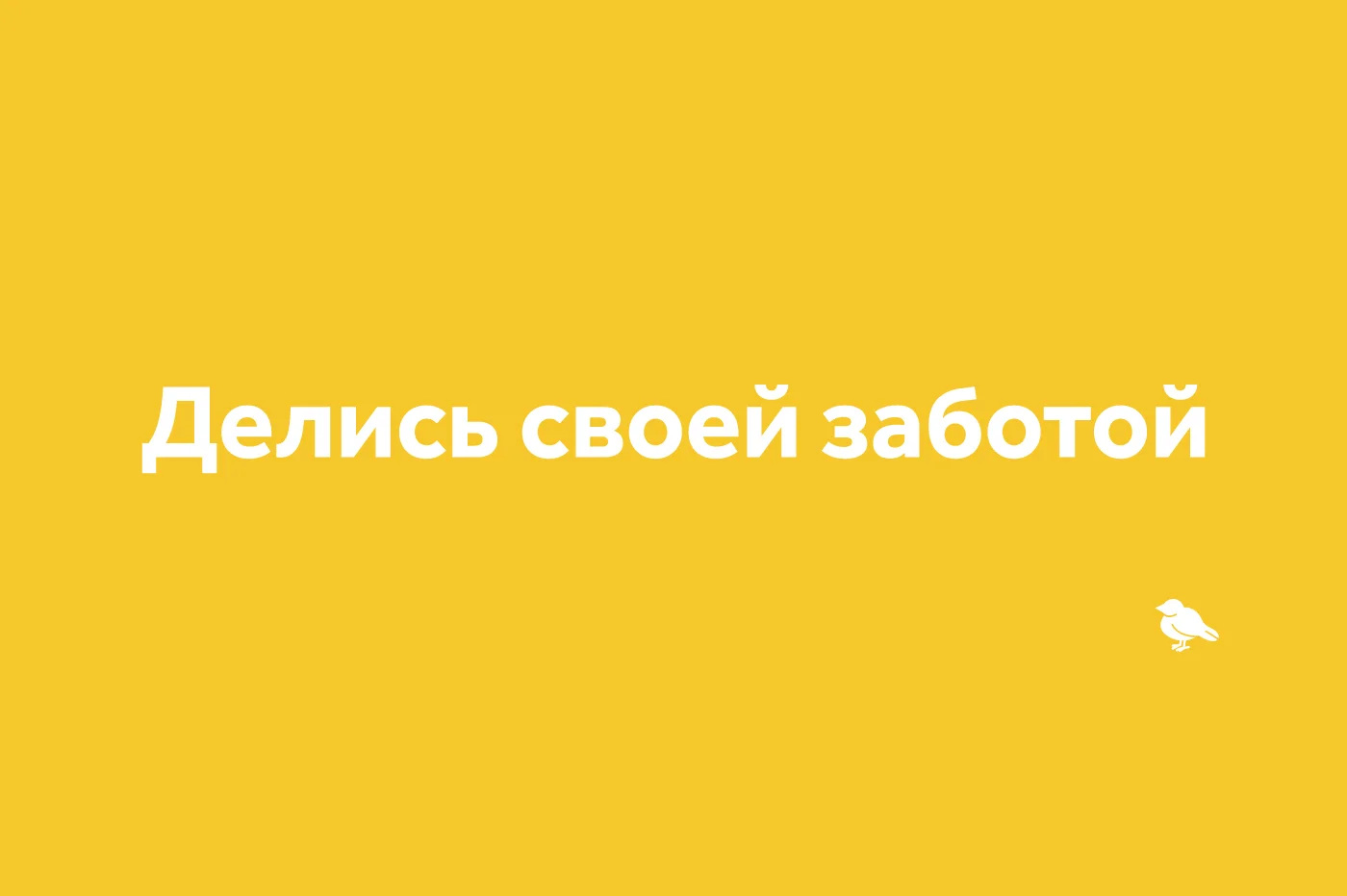web-portfolio-slogan-yel.jpg