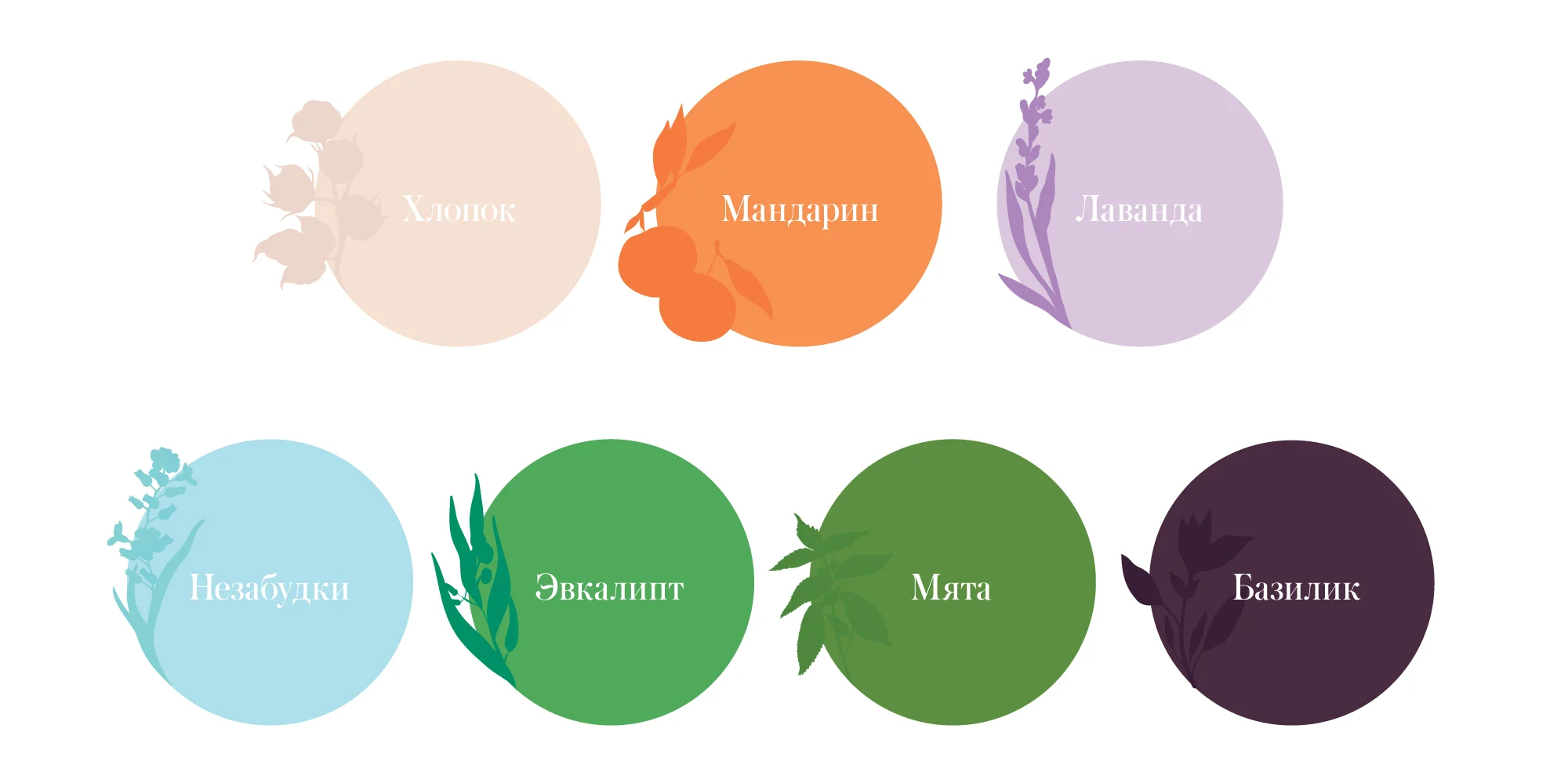 BioMio_brand_color.jpg