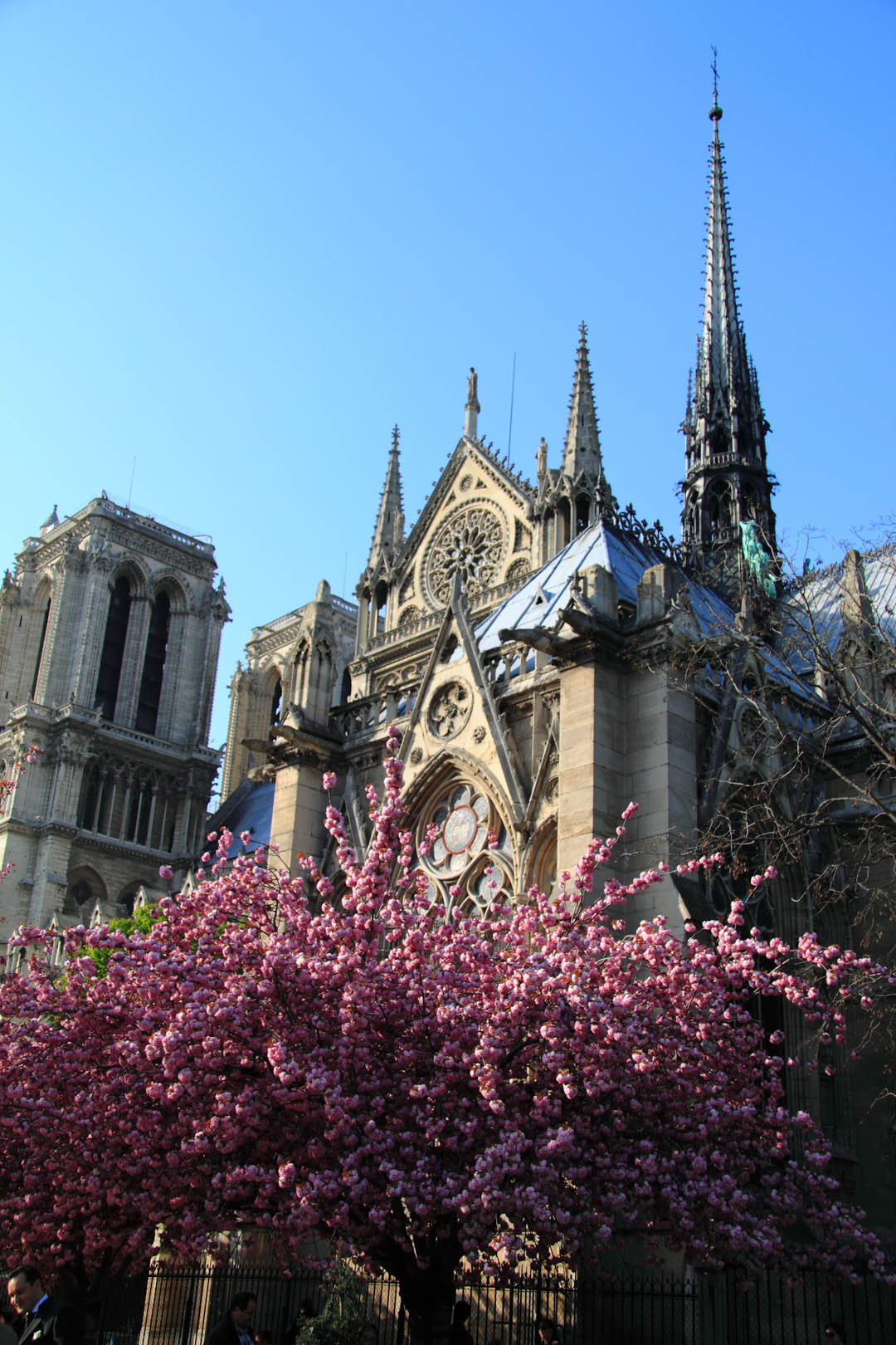 IMG_3888a.jpg