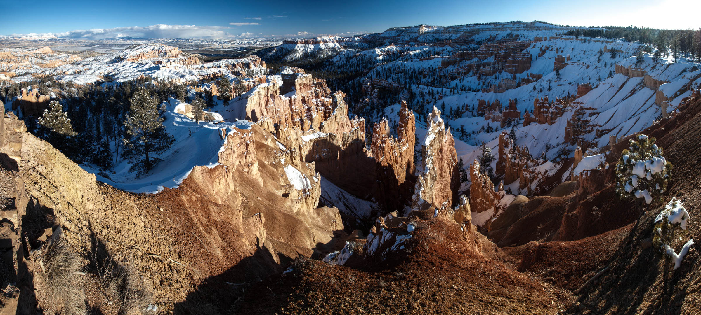 Untitled_Panorama1-2.jpg