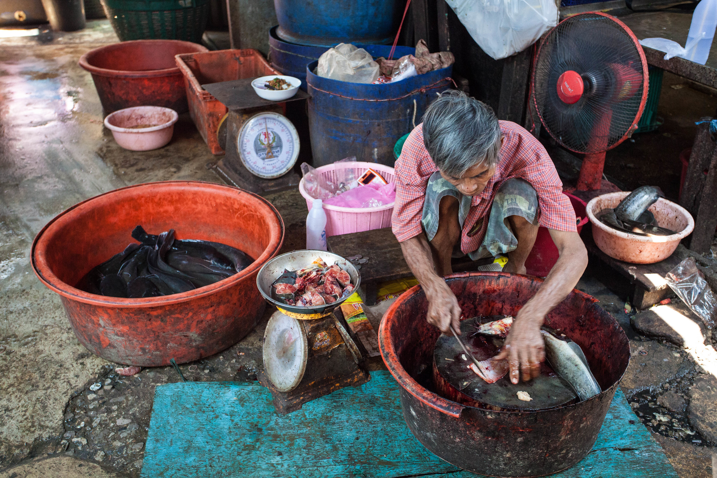 Market Day