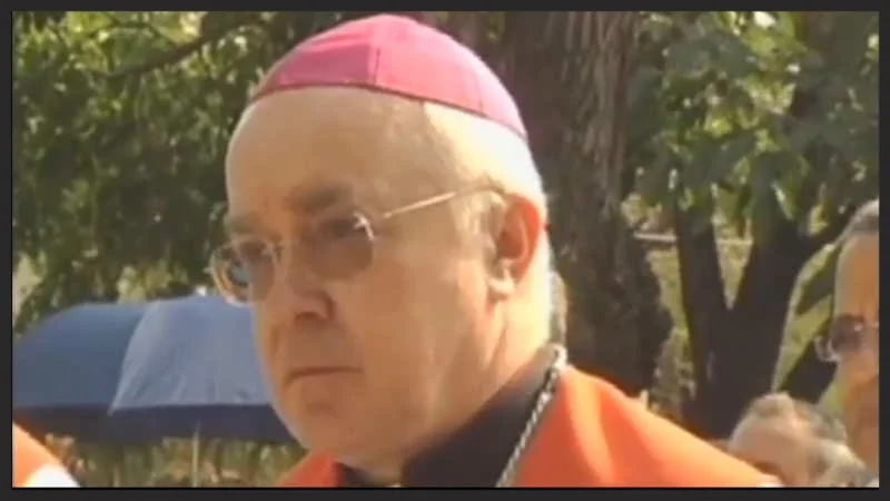 RD: Wesolowski Sexual Abuse Case a New Approach or Same Old Same Old?