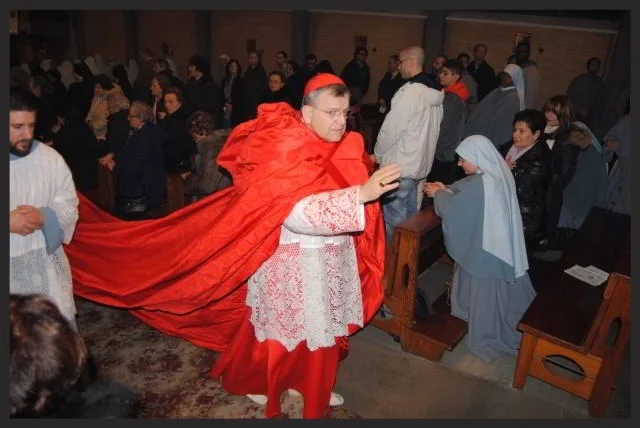 Kardinaler i angreb på Pave Frans ?