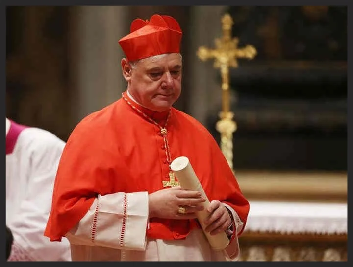 To me, it is significant that both Cardinals Mueller and Pell are rebutting....