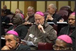 Biskop Anders Arborelius om familiesynoden